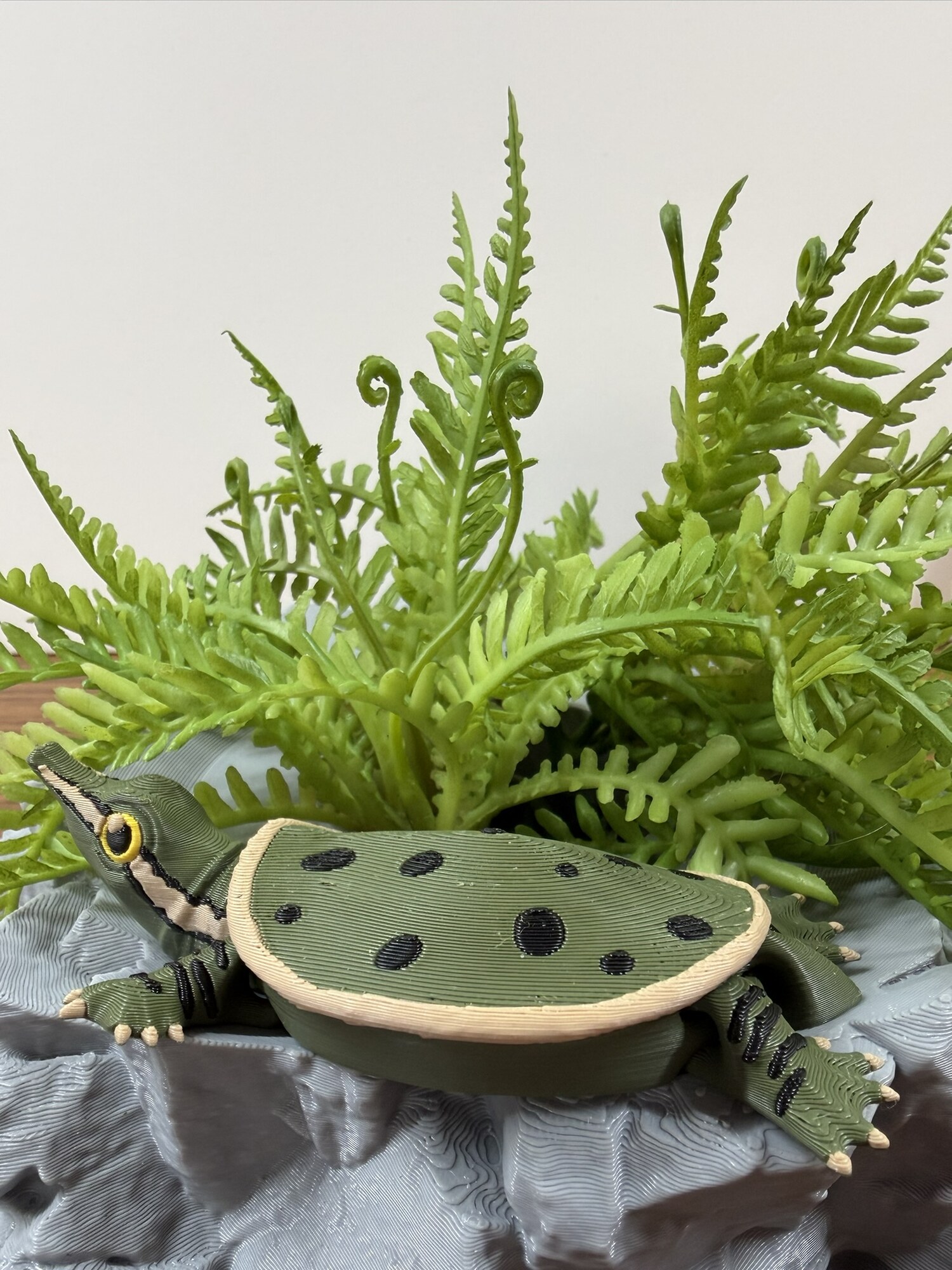 Flexi Turtle